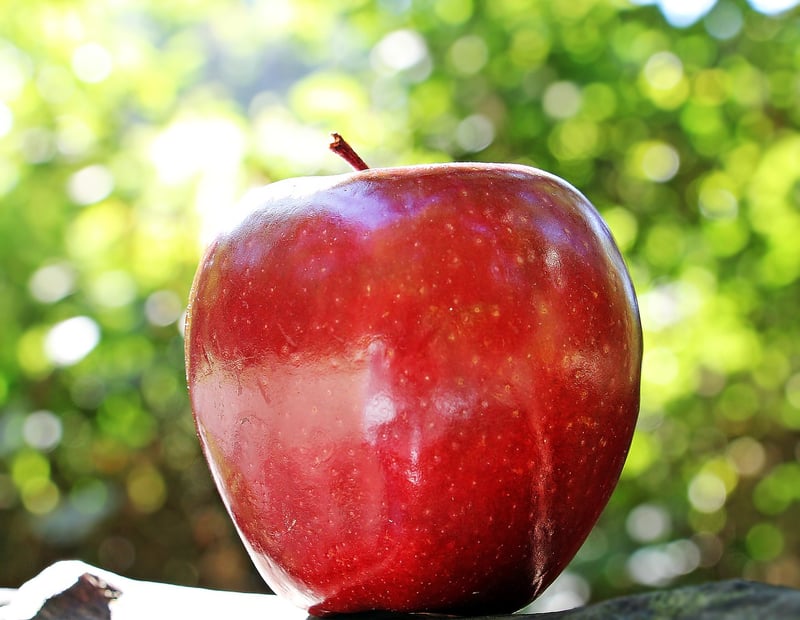 Apple Pay